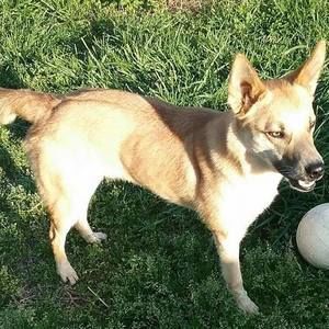 Meet your Posher, Melba